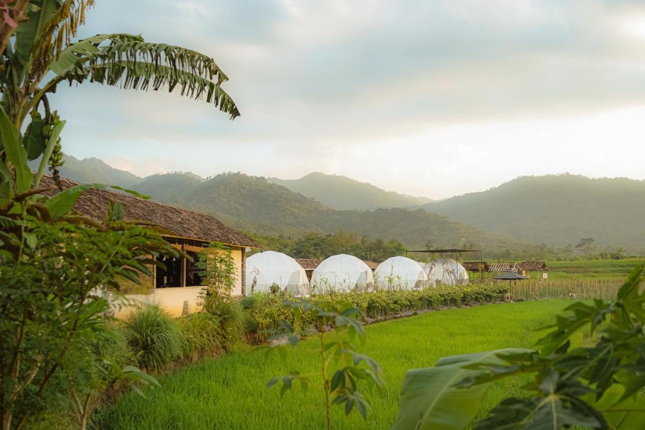 Borobudur Luxury Glamping Magelang Extérieur photo